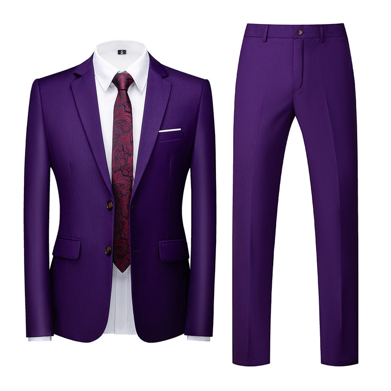 Purple Single-breasted Men's 2pcs Suit