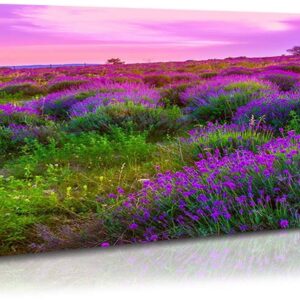 Denozer - Fields Landscape Canvas Art Modern Paintings for Living Room Wall Decor Plants and Flowers Print Artwork for Home Decoration,Framed and Ready to Hang - 48x24 inches
