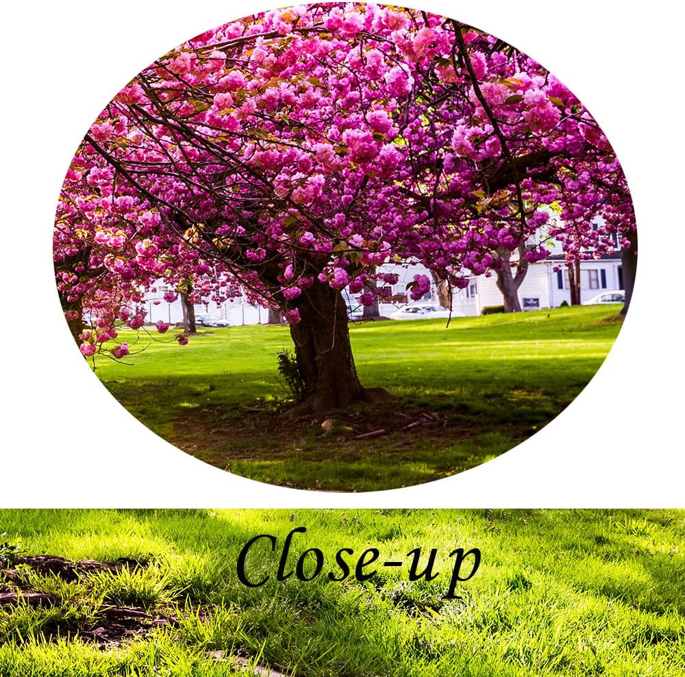 KREATIVE ARTS 4 Piece Canvas Wall Art Spring Summer Autumn Winter Four Seasons Landscape Colorful Tree Painting Picture Prints Modern Giclee Artwork Stretched Framed Bathroom 12x16inchx4pcs - Image 5